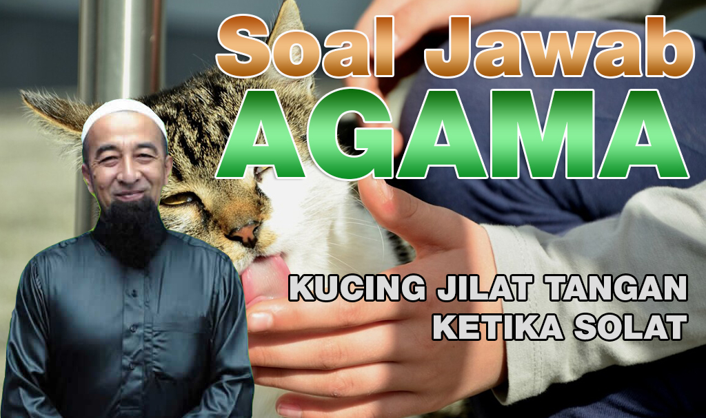 Kucing Jilat Tangan Ketika Solat Media Islam