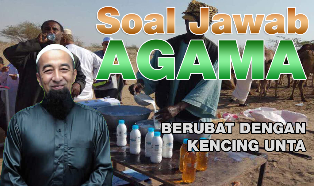 Berubat Dengan Kencing Unta