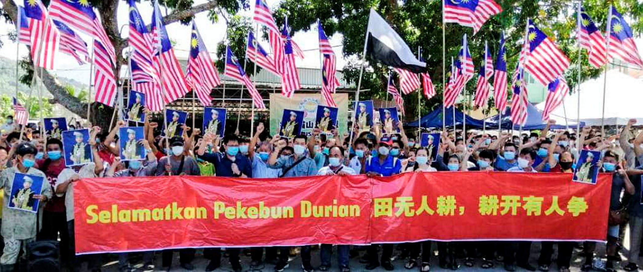 UTU_PHG-DURIAN-MUSANG-KING001
