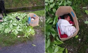 bayi-dibuang