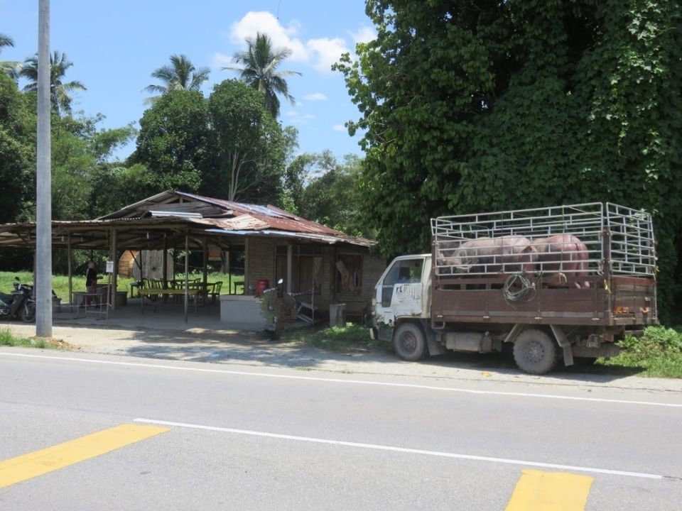 Larangan Pemindahan Tekanan Dari Kawasan Wabak Hawar Berdarah