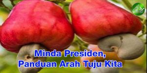 Minda Presiden