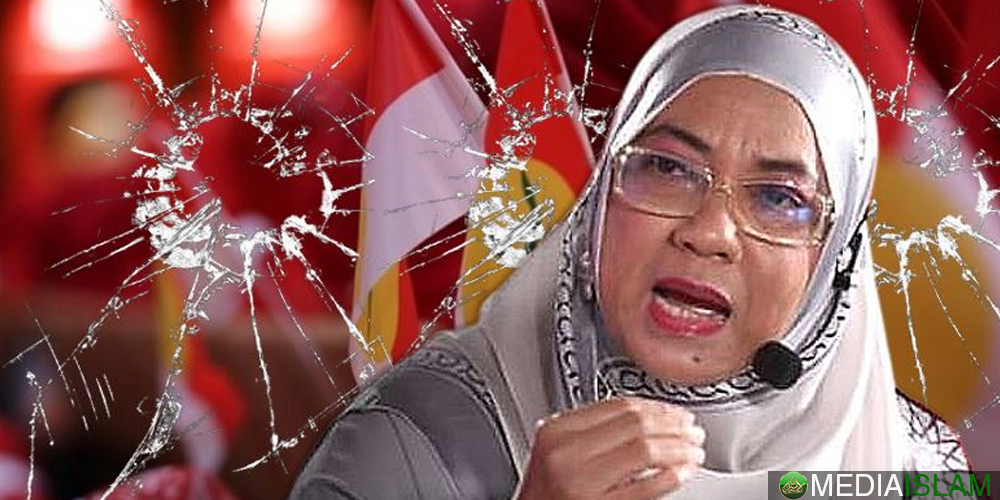 PRU-15: Zahid Paling Gembira, Tapi Penganalisis Ramal Rakyat Akan Keluar Mengundi