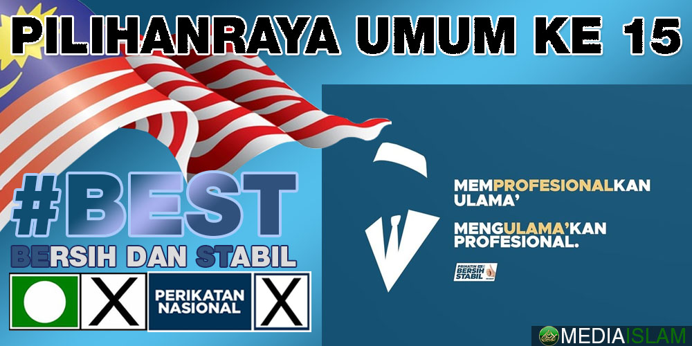 Memprofesionalkan Ulama, Mengulamakan Profesional