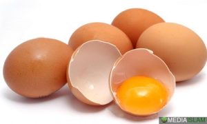 Telur