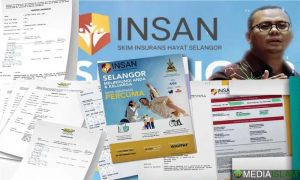 Insan