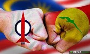 UMNO DAP