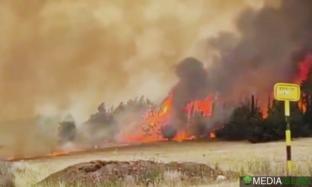 Api Marak Di Tanah Yang Dicuri: Projek Zionis Yang Gagal Sedang Terbakar