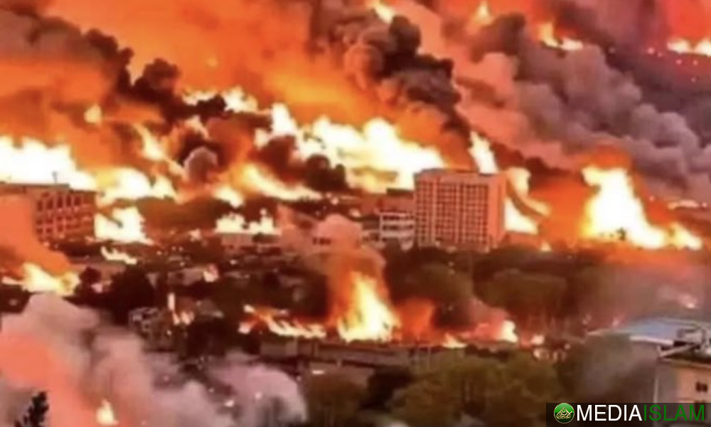 ‘Kebakaran Hutan Terbesar Dalam Sejarah Israel’ – Segala Yang Perlu Anda Tahu