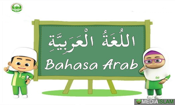 Cadangan Tuan Ibrahim: Jawapan kepada Cabaran Lim Lip Eng